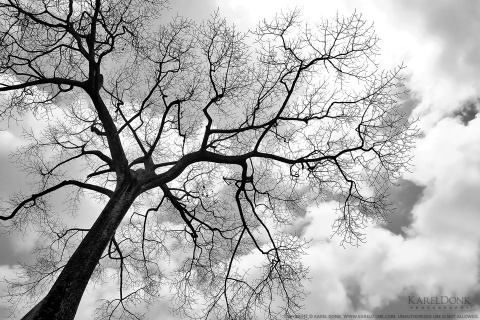 Absence of Life
