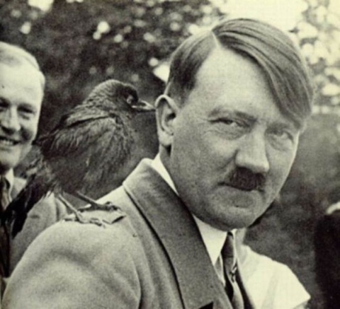 Гитлер был вегетарианцем. Он был человеком сострадания, и он признал важность сострадания в обществе. У него так много привязанности к своим немецким овчаркам. Он запретил все эксперименты на животных, признавая это злом. Гитлер мог видеть связь между всеми формами жизни. Это бы. 