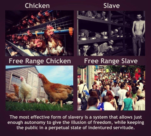 Free Range Slaves
